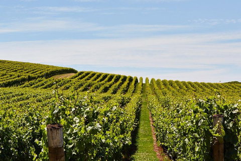 West Tamar Wine Tour - Accommodation Brisbane 2