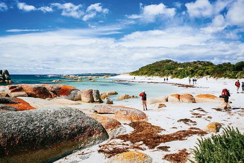 Wineglass Bay Private Charter Service - Accommodation Brisbane 3