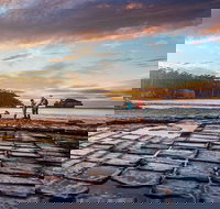 Port Arthur Private Charter Service - Accommodation Brisbane