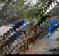 Fully guided E-Mountain Bike Tour on the beautiful Mornington Peninsula. - Accommodation Brisbane