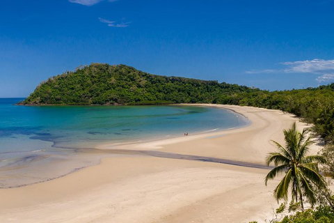 Daintree And Cape Tribulation Tour From Cairns - Accommodation Brisbane 1