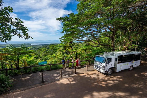 Daintree And Cape Tribulation Tour From Cairns - Accommodation Brisbane 3