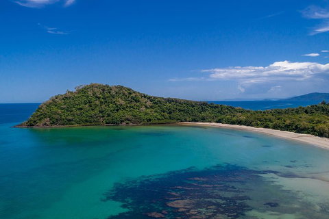 Daintree And Cape Tribulation Tour From Cairns - Accommodation Brisbane 4