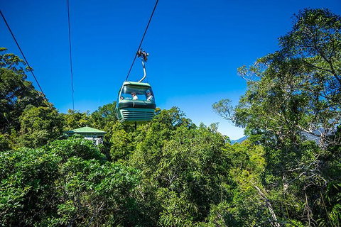 Skyrail Rainforest Cableway Day Trip From Cairns - Accommodation Brisbane 1