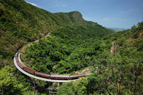 Skyrail Rainforest Cableway Day Trip From Cairns - Accommodation Brisbane 5