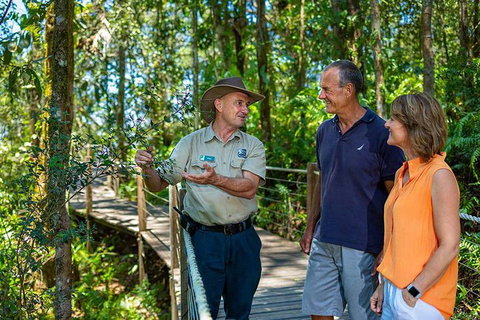 Kuranda Scenic Railway Day Trip From Cairns - Accommodation Brisbane 1