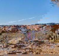 The Amazing Kings Canyon 4-Hours Walking Tour and Hike - Accommodation Brisbane