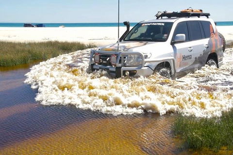 Full-Day Moreton Island 4x4 Sightseeing Tour - Accommodation Brisbane 0