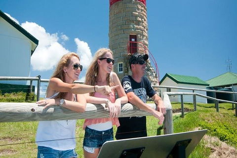 Full-Day Moreton Island 4x4 Sightseeing Tour - Accommodation Brisbane 3