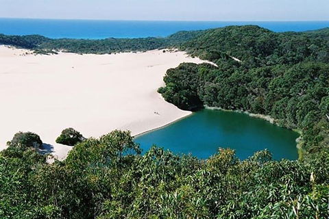 Full-Day Moreton Island 4x4 Sightseeing Tour - Accommodation Brisbane 5