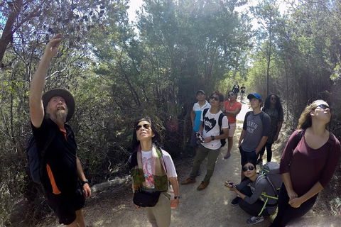 Active Day Tour One-Way From Launceston To Hobart Via Wineglass Bay - Accommodation Brisbane 0