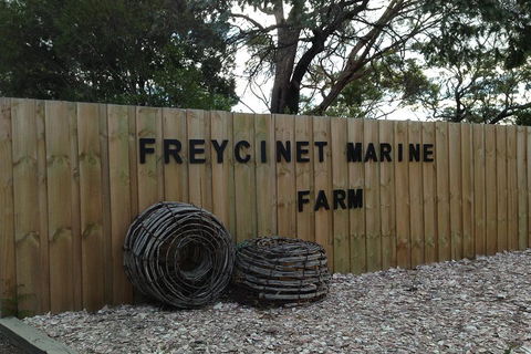 Active Day Tour One-Way From Launceston To Hobart Via Wineglass Bay - Accommodation Brisbane 3