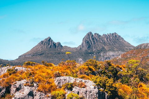 Cradle Mountain National Park Day Tour From Launceston - Accommodation Brisbane 1