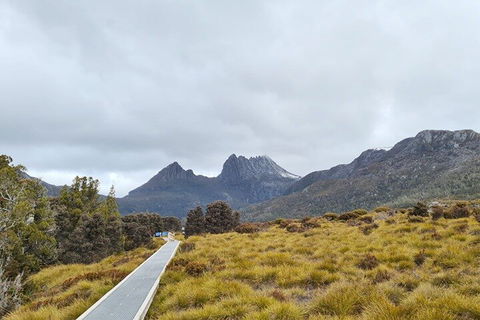 Cradle Mountain National Park Day Tour From Launceston - Accommodation Brisbane 2