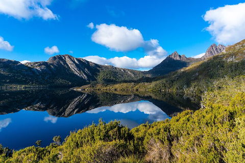 Cradle Mountain National Park Day Tour From Launceston - Accommodation Brisbane 3