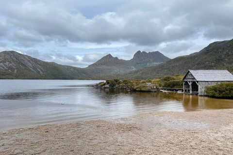 Cradle Mountain National Park Day Tour From Launceston - Accommodation Brisbane 4