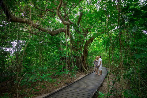 Green Island Day Trip Including Seawalker Helmet Dive COMBO - Accommodation Brisbane 1