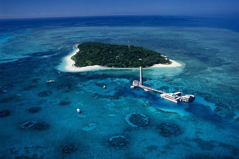 Green Island Day Trip Including Seawalker Helmet Dive COMBO - Accommodation Brisbane 5