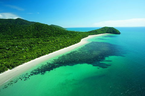 Cape Tribulation, Mossman Gorge, And Daintree Rainforest Day Trip From Cairns Or Port Douglas - Accommodation Brisbane 2
