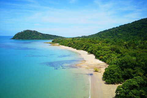Cape Tribulation, Mossman Gorge, And Daintree Rainforest Day Trip From Cairns Or Port Douglas - Accommodation Brisbane 5