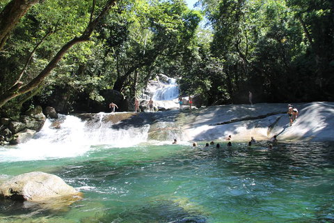Double Pack-Ancient Rainforest And Waterfalls! - Accommodation Brisbane 2