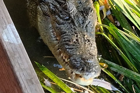 Litchfield Park Adventures And Jumping Crocodile Cruise + Butterfly Farm - Accommodation Brisbane 1