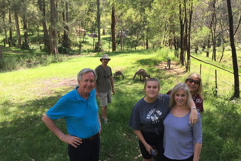 Small Group Blue Mountains Day Tour From Sydney - Accommodation Brisbane 1