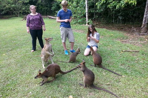 Small Group Blue Mountains Day Tour From Sydney - Accommodation Brisbane 2