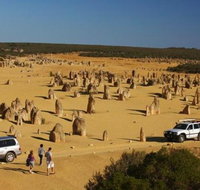 1-Day Pinnacles and Yanchep Tour from Perth including Fish and Chips Lunch - Accommodation Brisbane