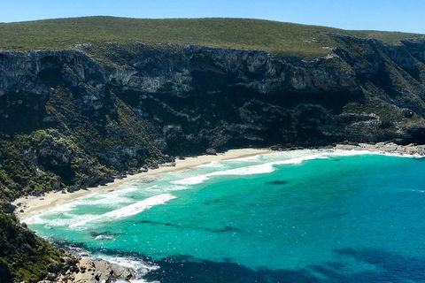 Kangaroo Island Scenic Trail Tour - Accommodation Brisbane 4