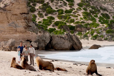 Kangaroo Island Scenic Trail Tour - Accommodation Brisbane 5