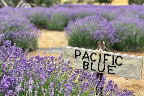 Kangaroo Island Half Day Food And Wine Trail Tour - Accommodation Brisbane 5