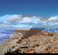 4 Day Tour Albany Margaret River Valley of the Giants TreeTop Walk from Perth - Accommodation Brisbane