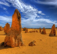 Pinnacles Desert  New Norcia Day Tour from Perth - Accommodation Brisbane