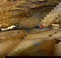 2-Day Wave Rock York Wildflowers  Aboriginal Experience - Accommodation Brisbane