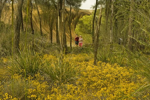 2-Day Wave Rock, York, Wildflowers & Aboriginal Experience - Accommodation Brisbane 2