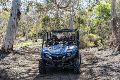 Small-Group Buggy Tour At Little Sahara With Guide - Accommodation Brisbane 0