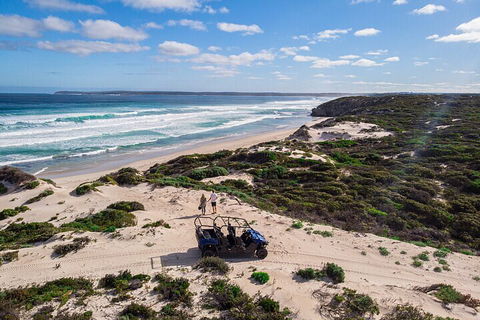 Small-Group Buggy Tour At Little Sahara With Guide - Accommodation Brisbane 1