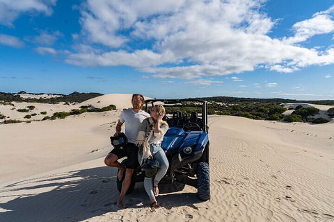 Small-Group Buggy Tour At Little Sahara With Guide - Accommodation Brisbane 2