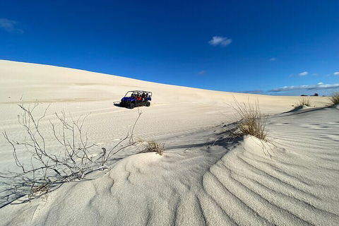 Small-Group Buggy Tour At Little Sahara With Guide - Accommodation Brisbane 3
