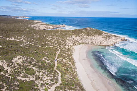 Small-Group Buggy Tour At Little Sahara With Guide - Accommodation Brisbane 4