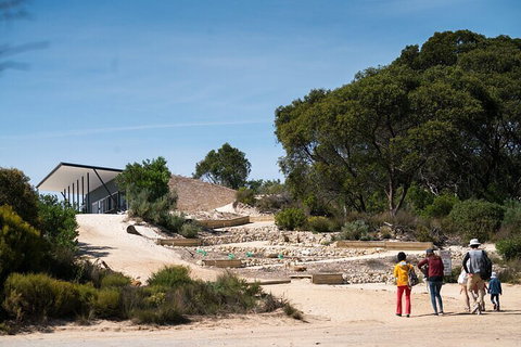 2-Hour Koala Walking Tour In Kangaroo Island - Accommodation Brisbane 3