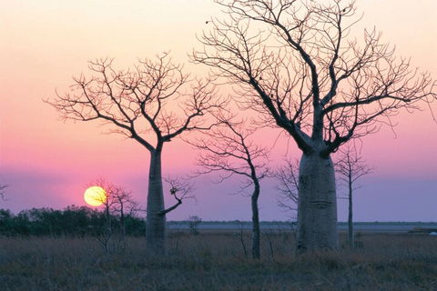 8-Day Outback Experience From Queensland - Accommodation Brisbane 5