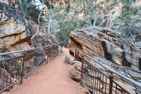 West MacDonnell Ranges Half - Day Tour - Accommodation Brisbane 0