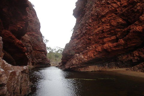 West MacDonnell Ranges Half - Day Tour - Accommodation Brisbane 4