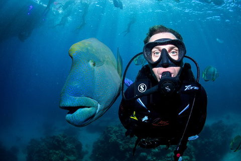 Full Day Reef Cruise Including 10 Minute Heli Scenic Flight: Get High Package - Accommodation Brisbane 1