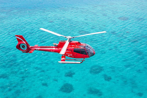 Cruise To Moore Reef Pontoon And Return Helicopter Flight From Cairns - Accommodation Brisbane 1