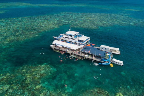 Cruise To Moore Reef Pontoon And Return Helicopter Flight From Cairns - Accommodation Brisbane 2