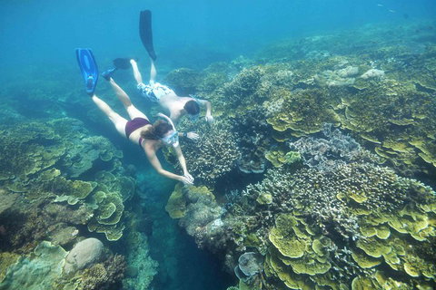 Cruise To Moore Reef Pontoon And Return Helicopter Flight From Cairns - Accommodation Brisbane 3