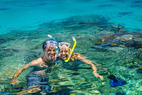 Fly To Green Island - Cruise Return - Accommodation Brisbane 2